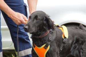 Training 24.05.2020 – Bechlingen 161